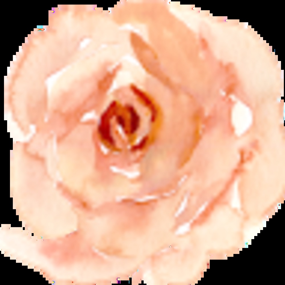 Meet your Posher, Olyveia